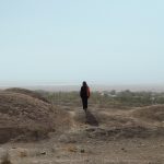 THE LAST AMBASSADOR