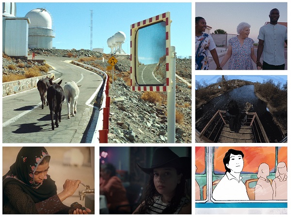 2026 INTERNATIONAL DOCUMENTARY SHORT COMPETITION
